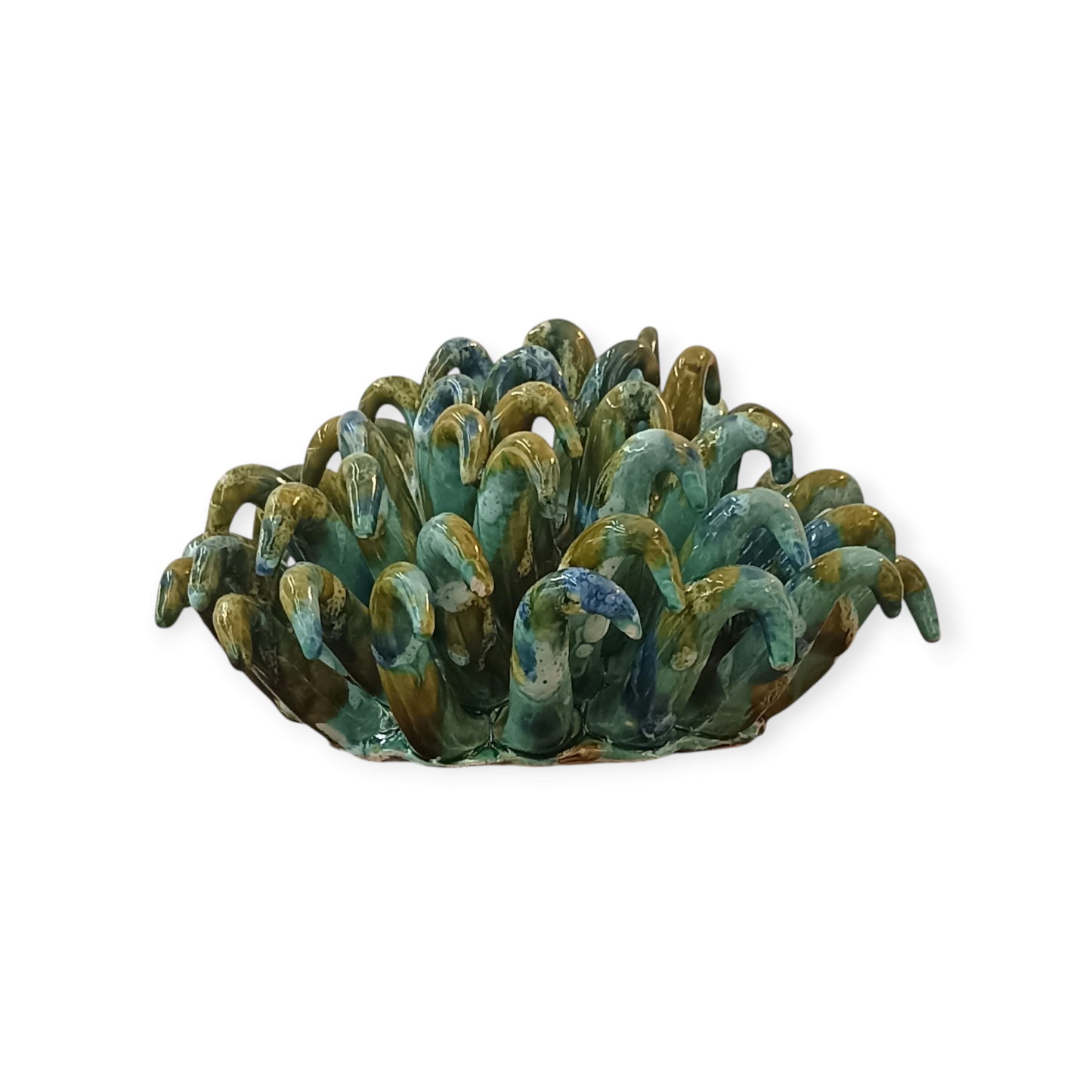 Anemone di Mare Ceramica