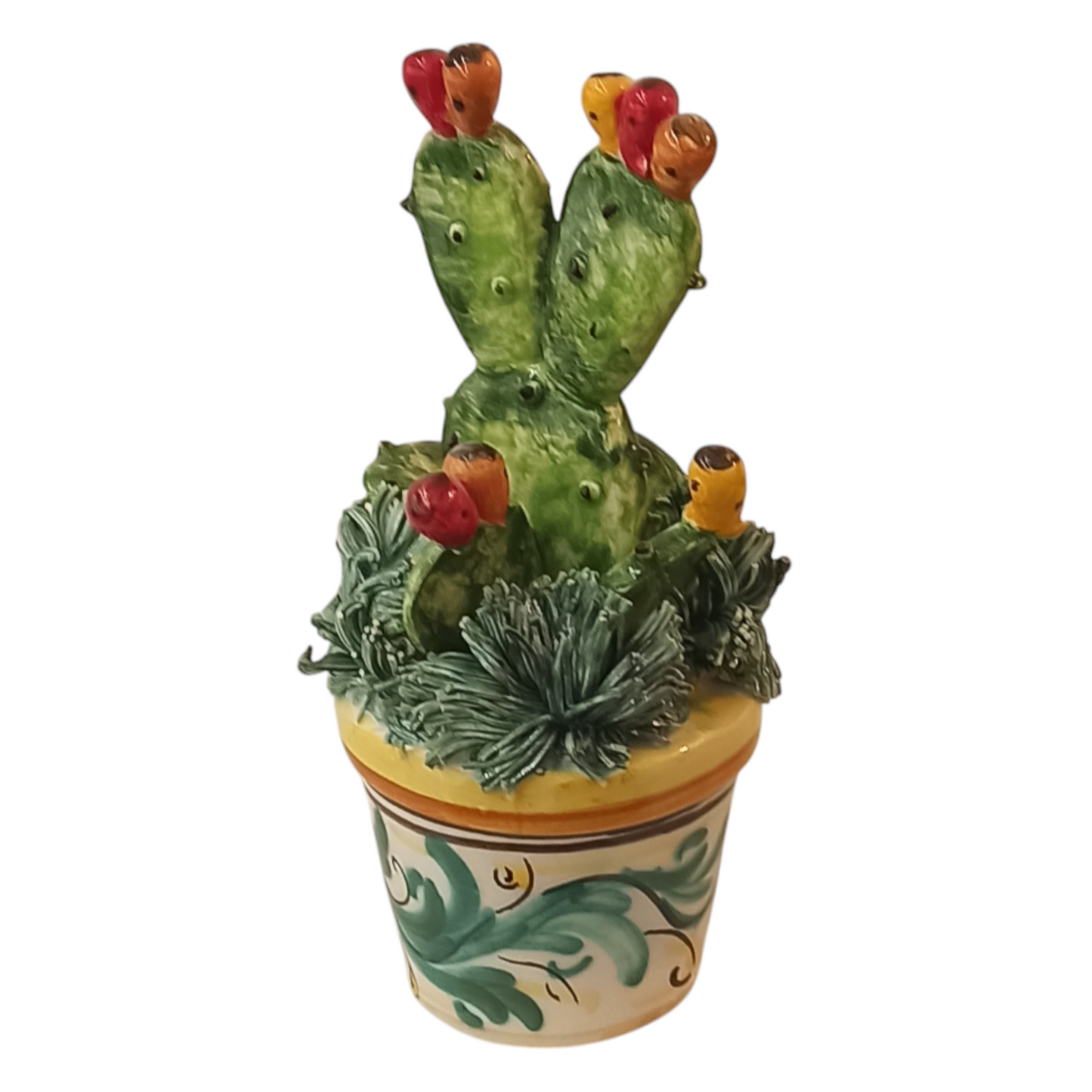 Cactus