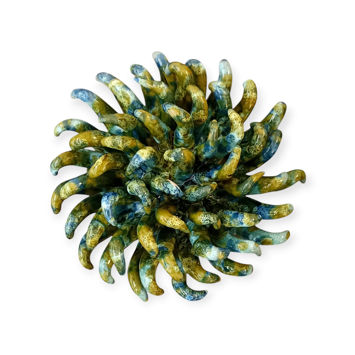 Anemone di Mare Ceramica